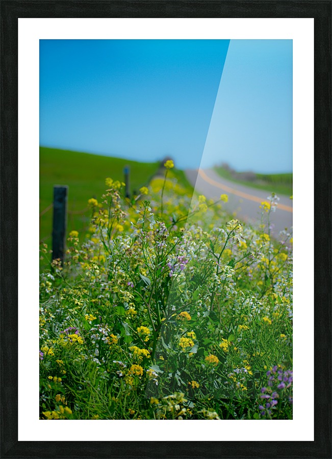 20190330 DSC_0592 Picture Frame print