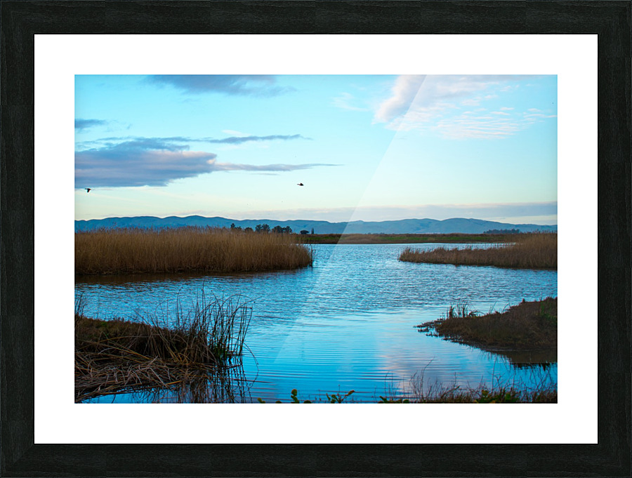 20190228 DSC 0066 2 Picture Frame print