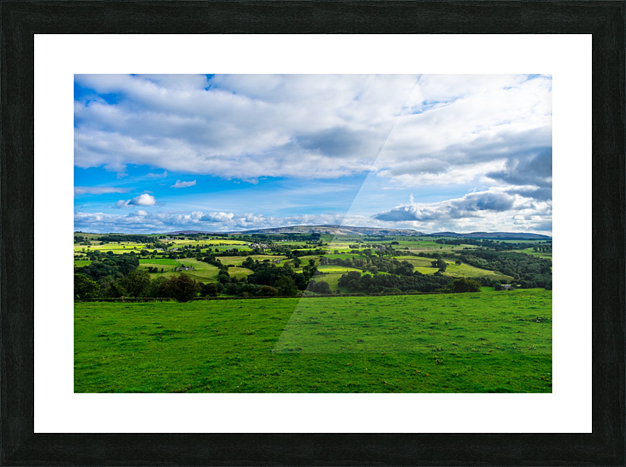20190916 DSC 0346 Picture Frame print