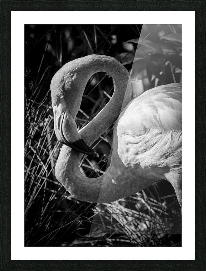 20201004 DSC 0187 3 Picture Frame print