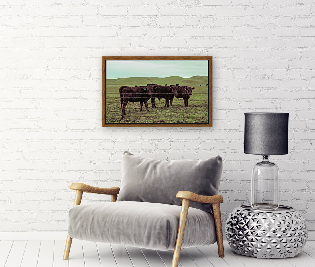 20190228 IMG_3567 2 Reproduction