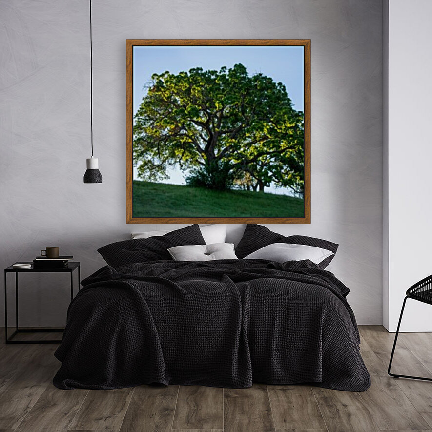 20190418 DSC 0043 Reproduction