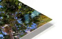 Beach5 HD Metal print