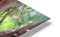 Animal13 HD Metal print