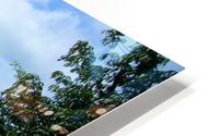 Landscape3 HD Metal print