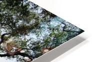 Landscape1 HD Metal print
