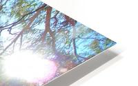 Mountain16 HD Metal print