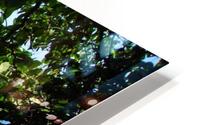 Tropical14 HD Metal print