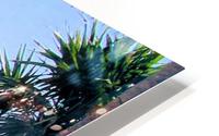 Tropical4 HD Metal print
