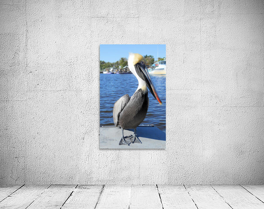 Bird14 Wall Preview