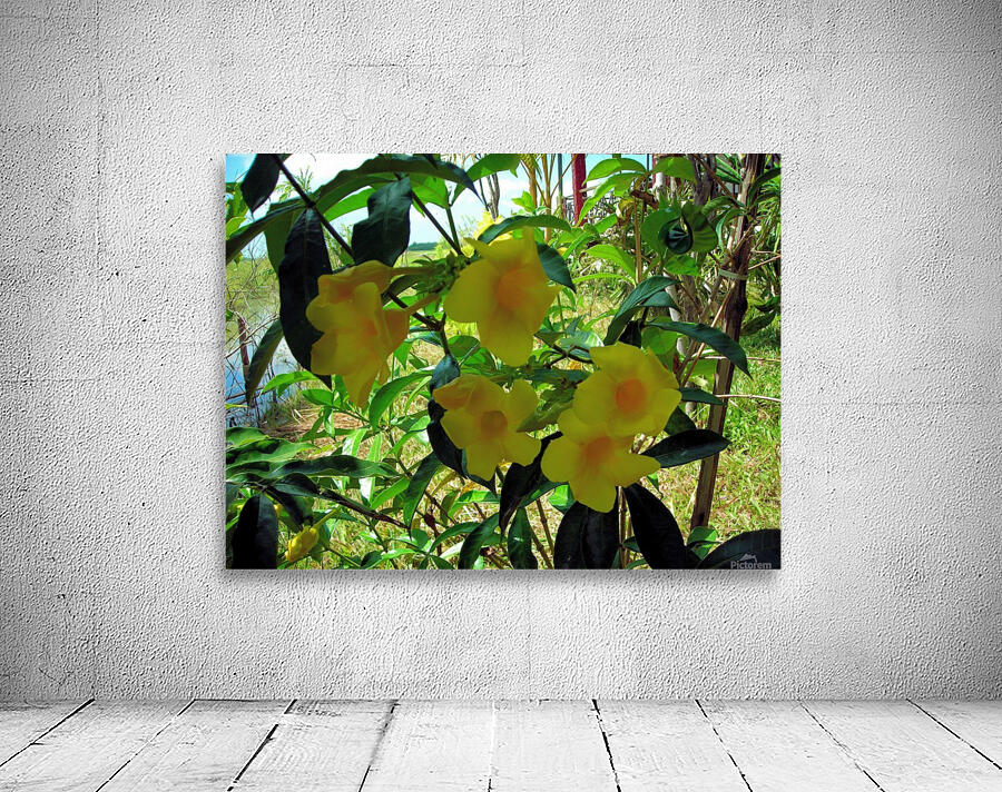 Flower19 Wall Preview