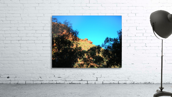 Outback4 Wall Preview