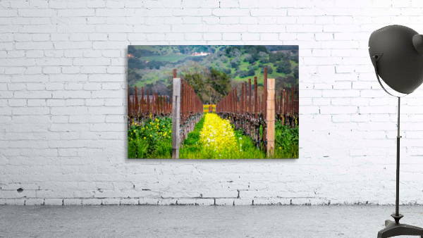 20190316 DSC_0232 Wall Preview
