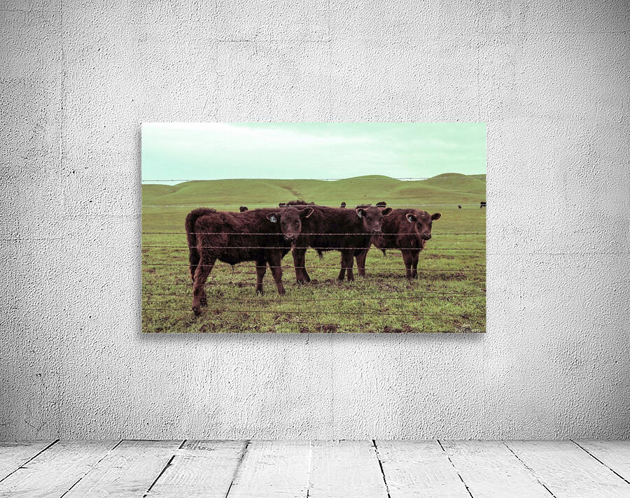 20190228 IMG_3567 2 Wall Preview