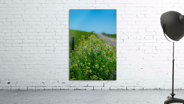 20190330 DSC_0592 Wall Preview