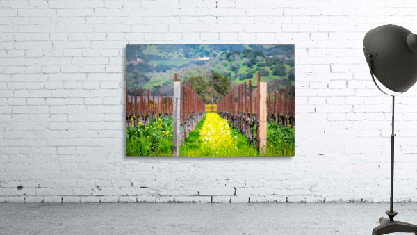 20190316 DSC_0242 Wall Preview