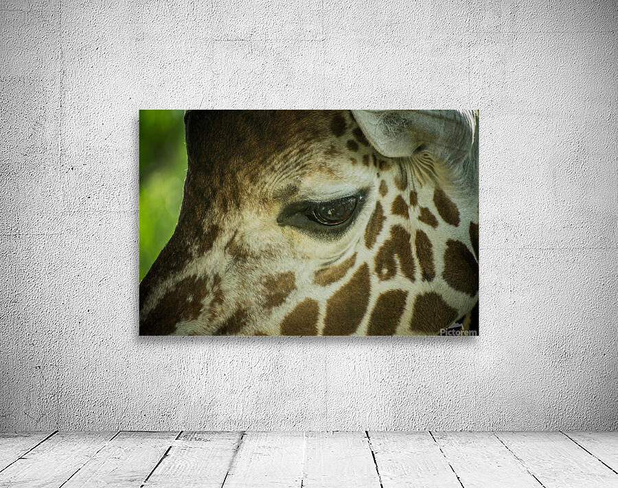 20181104 DSC 0225  3  Wall Preview