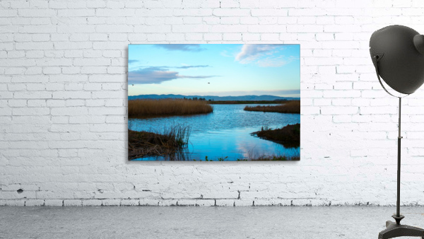 20190228 DSC 0066 2 Wall Preview