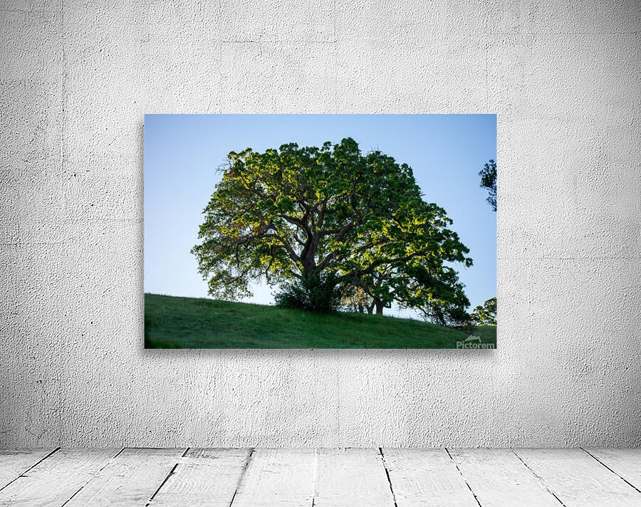 20190418 DSC 0043 Wall Preview