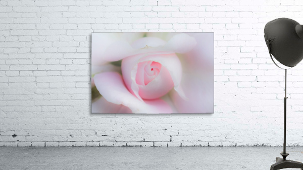 20190512 DSC 0653 Wall Preview