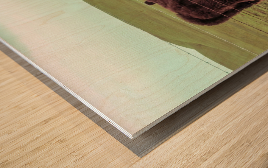 20190228 IMG_3567 2 Wood print