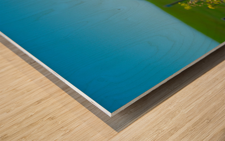 20190330 DSC_0592 Wood print