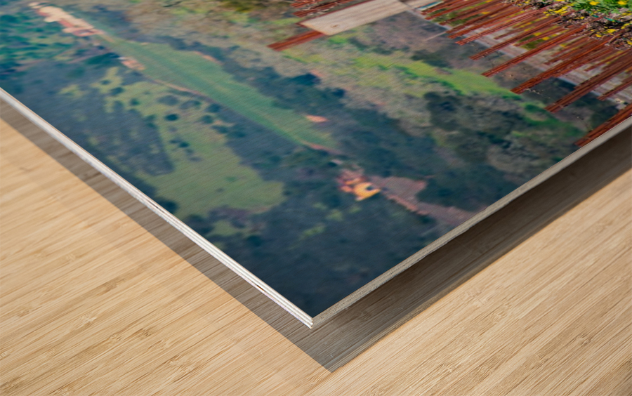 20190316 DSC_0242 Wood print