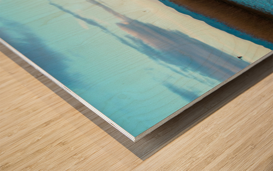 20190228 DSC 0066 2 Wood print