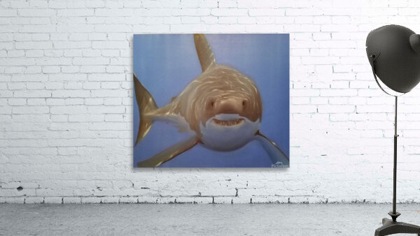Happy Shark  Wall Preview
