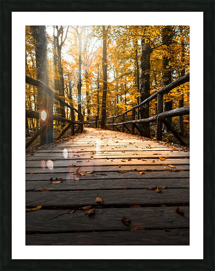 The Path Picture Frame print