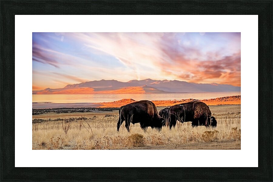 2 Brothers Picture Frame print