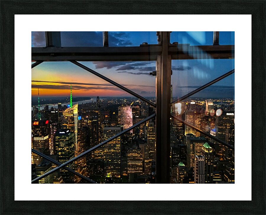 Caged View Picture Frame print