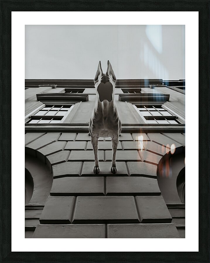 Downward Dog Picture Frame print