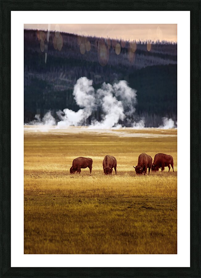 Brothers Picture Frame print