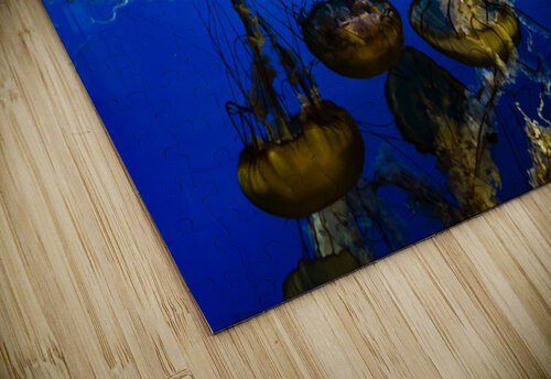 Dancing Jellies Dustin Breau puzzle