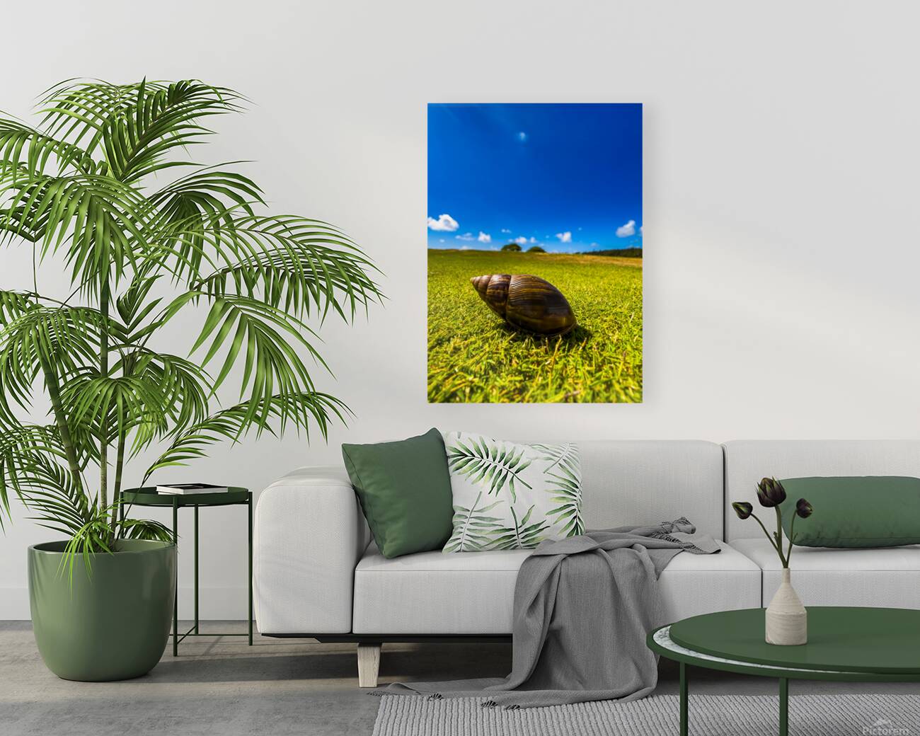 Snails Pace Reproduction