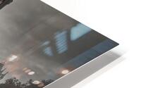 Cryptic HD Metal print