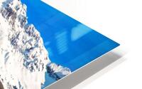 Through the Cold HD Metal print