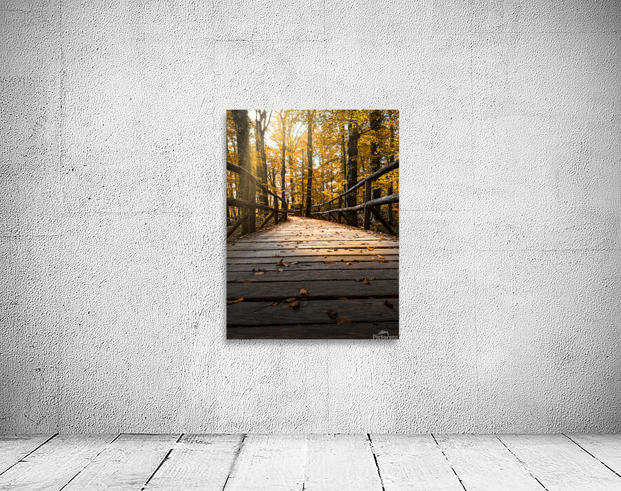 The Path Wall Preview