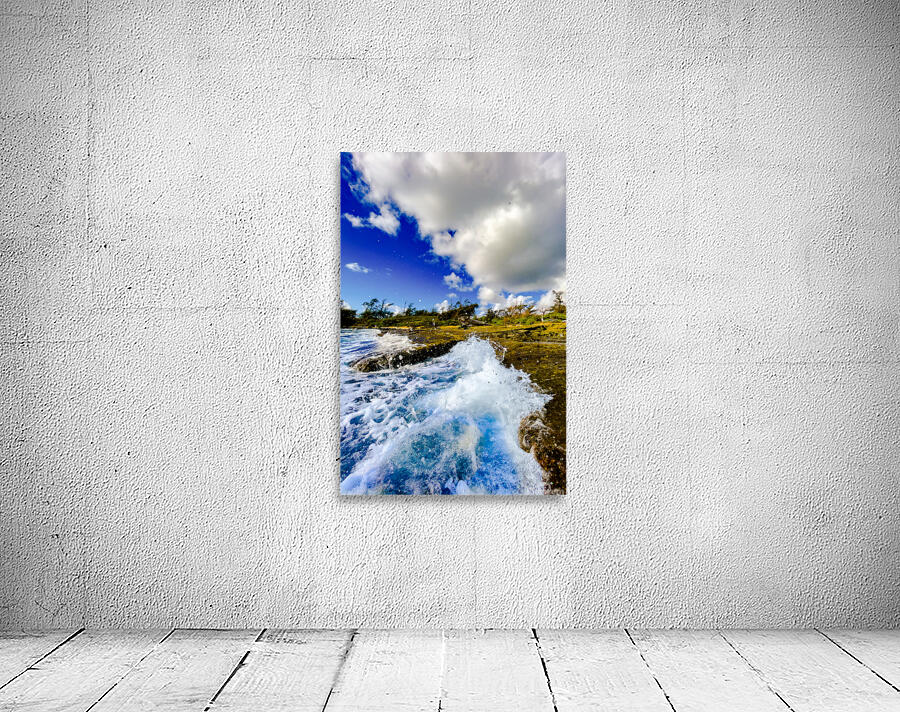 Blue Crush Wall Preview