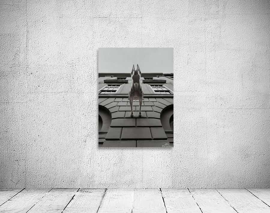 Downward Dog Wall Preview