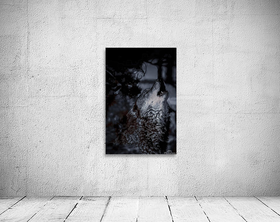 Howl Wall Preview