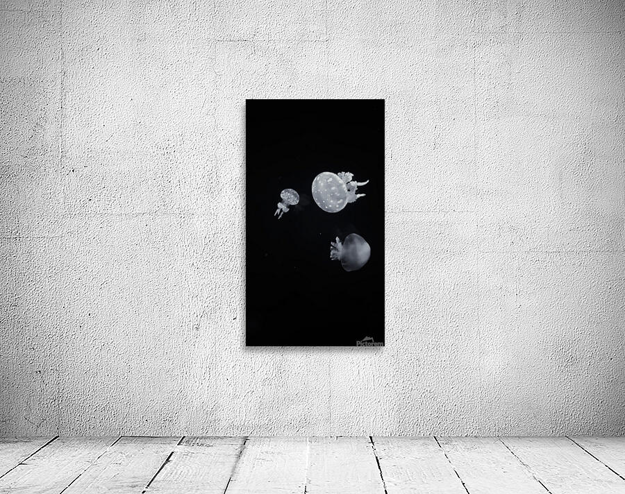 The Bloom Wall Preview