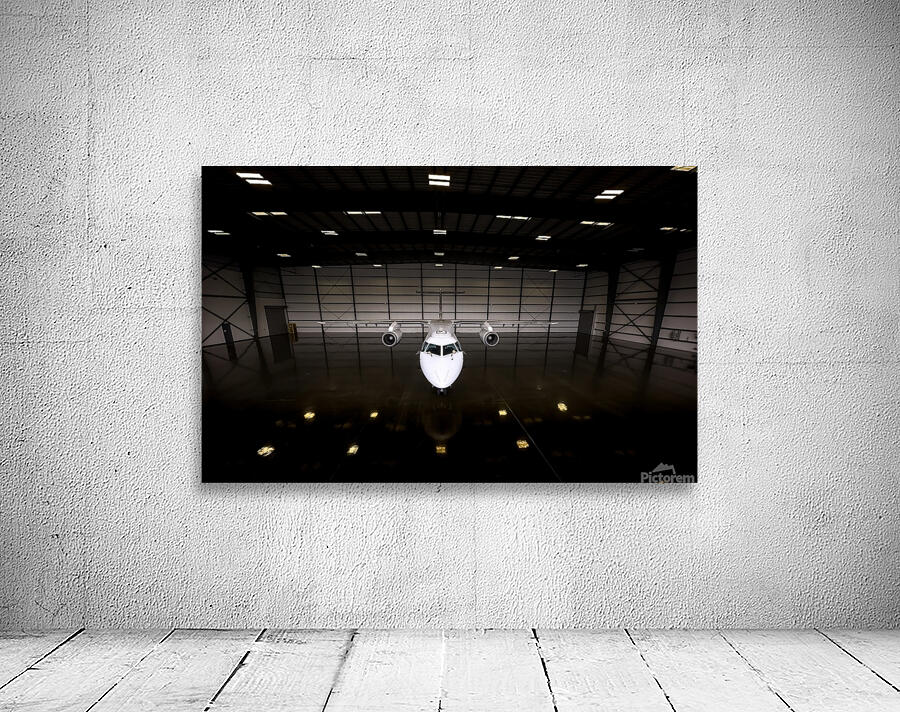 Lone Flyer Wall Preview