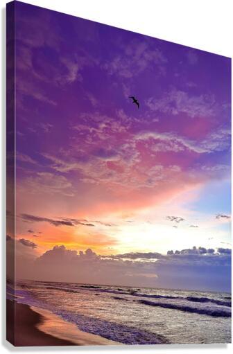 purple sunrise Canvas Print
