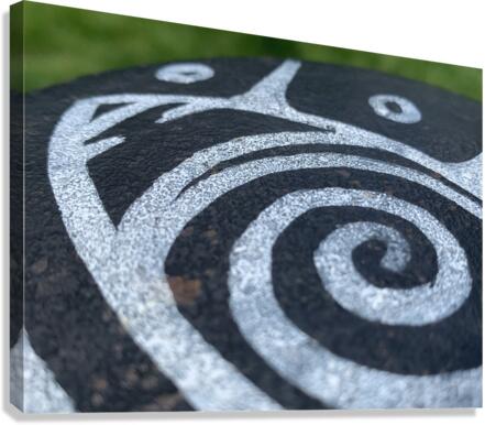 Spiraling Canvas Print