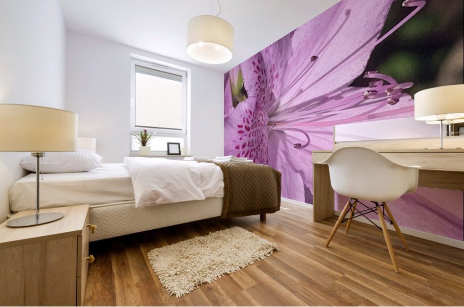 Pink flower Mural print