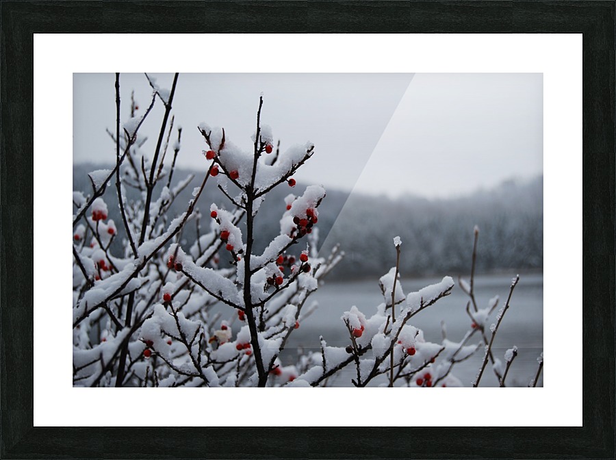 snowberry Picture Frame print