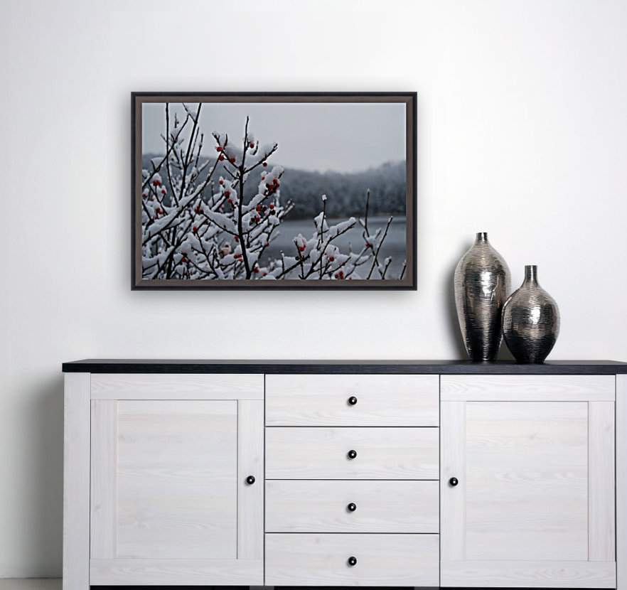snowberry Reproduction