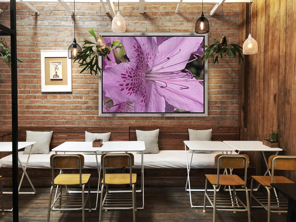 Pink flower Reproduction